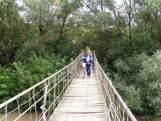 Lanový most nad Latoricou 3