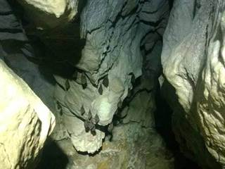 Plavecká jaskyňa 10 - Palino Peťovský