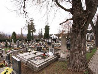 Evanjelický cintorín BB (4)