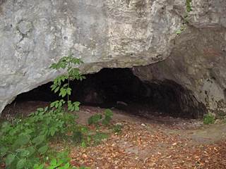 Netopieria jaskyňa 12 - Majtán Robo
