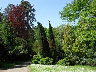 Arborétum Mlyňany 4