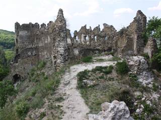 Šášov hrad 1