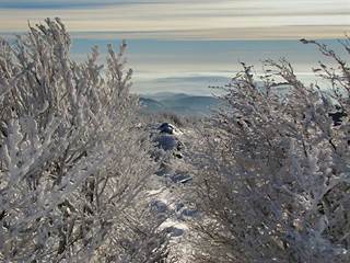 Kľak 8 - Majtán Robo