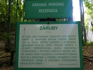 Záruby 7 - Palino Peťovský