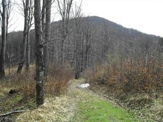 Praporec 7 - Paulina Melková