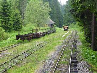 Oravská lesná železnica 4 - Nils Öberg