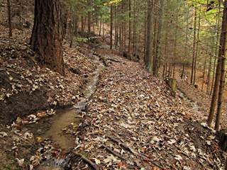 Teplické serpentíny 3 - Majtán Robo