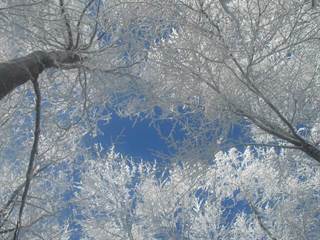 Šimonka 9 - Paulina Melková