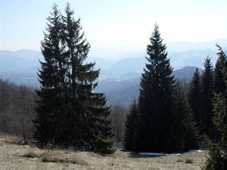 Dobšinský kopec 4 - Paulina Melková