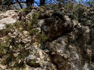 Zolniansky lahar 4 - Daniela Tomášiková