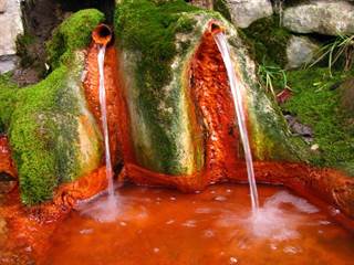 Mičinské travertíny 14 - Palino Peťovský