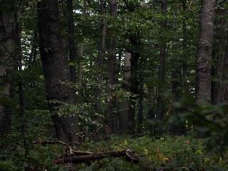 Vihorlat 10 - Daniela Tomášiková