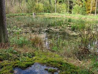 Teplické serpentíny 8 - Majtán Robo