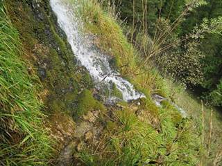 Bukovinka 6 - Majtán Robo