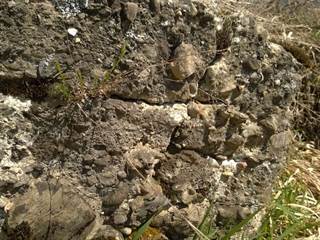 Hrabkovské zlepence 4 - Palino Peťovský