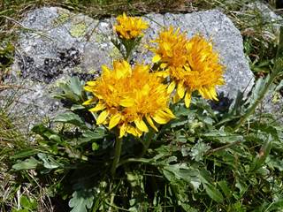 Slavkovská dolina 3 - Podzemnik