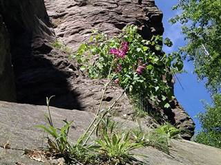 Kaľamárka 6 - Lubobubik