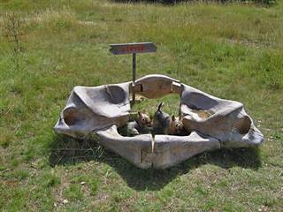 Geopark Neandertal 06 - Majtán Robo