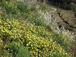 Veľká stráž 5 - Daniela Tomášiková