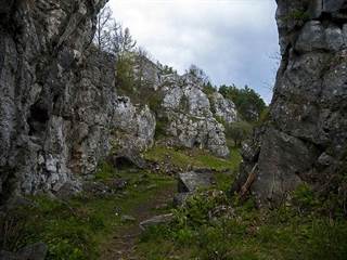 Dreveník 3 - Erik Adamčiak