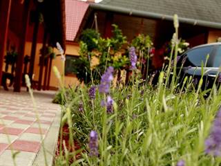 Apartmány Levanduľa 18