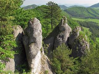 Babice 2 - Majtán Robo