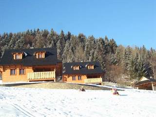 Drevenice na lúke 13