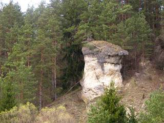 Ľupčiansky skalný hríb 2 - Palino Peťovský