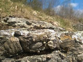 Hrabkovské zlepence 3 - Palino Peťovský