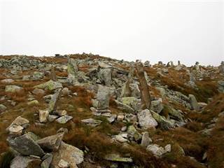 Smutné sedlo 1 Dezidor