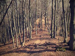 Biela skala 10 - Majtán Robo