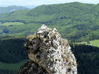 Veľký Manín 2 - Daniela Tomášiková