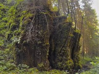 Tiesňava Hučiaky 08 - Majtán Robo