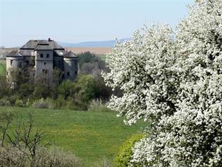 Kaštieľ v Dolnej Mičinej 5 - Daniela Tomášiková