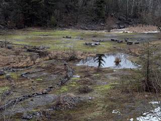 Kameňolom pod ježovou 3 - Daniela Tomášiková
