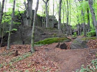 Zámutovské skaly 3 - Paulina Melková