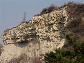 Sandberg 6 - Daniela Tomášiková