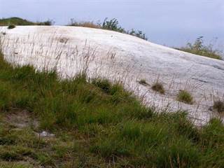 Sivá Brada 5 - Daniela Tomášiková