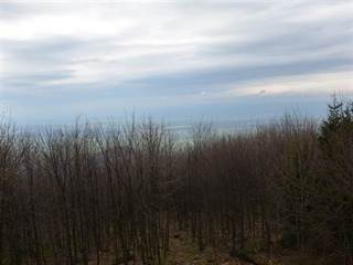 Makovica 4 - Paulina Melková