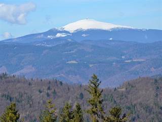 Babiná 4 - Paulina Melková