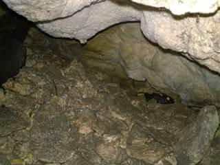 Mojtínska jaskyňa 5 - Palino Peťovský