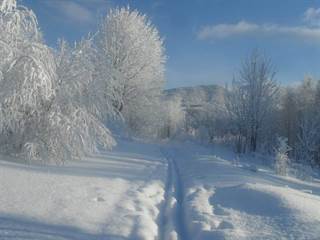 Šimonka 7 - Paulina Melková