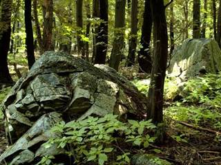 Devínska Kobyla 4 - Stanislav Doronenko