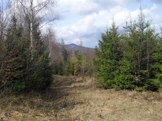 Osadník 5 - Paulina Melková