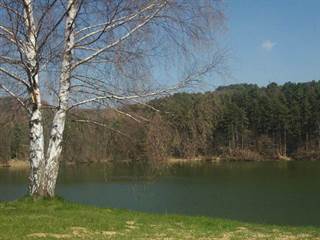 Vodná nádrž Dubník 2 - Stanislav Doronenko