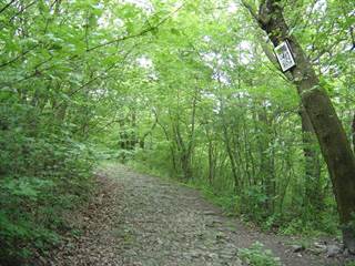 Bratislavská Kalvária 2 - Bratislavcan85