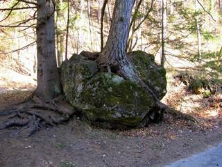 Gaderská dolina 04 - Majtán Robo