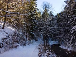 Gaderská dolina 11 - Valeria Vechterova