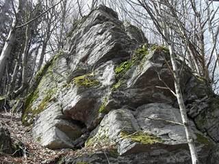 Praporec 2 - Paulina Melková