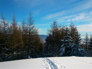 Čierny vrch 3 - Martin Bittara